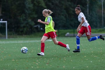 Bild 142 - C-Juniorinnen HSV - Walddoerfer : Ergebnis: 9:1